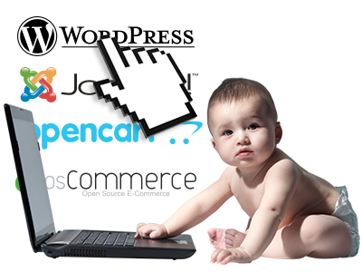 Easy-to-use Website Installer